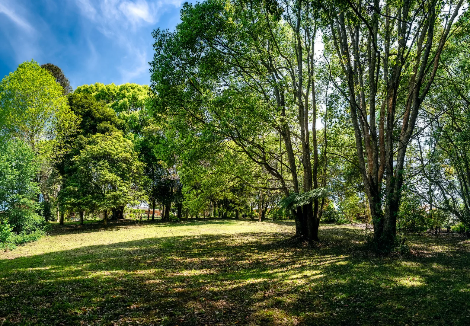 Additional image 13 of 2 Tibouchina Close, Bellingen NSW 2454