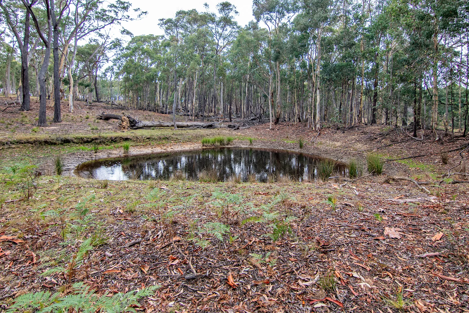Additional image 14 of 859 Bonds Road, Mudgee NSW 2850