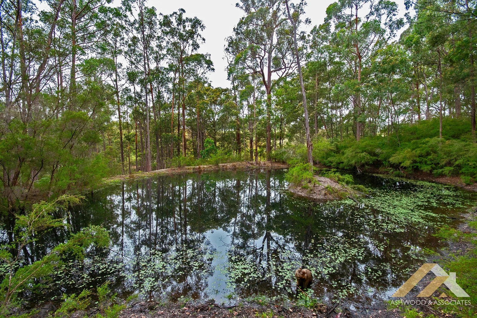 Additional image 29 of 154 Howletts Rd, Nicholson VIC 3882