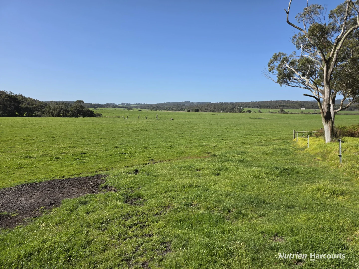 Additional image 24 of 60 Skippings Road, Kordabup WA 6333