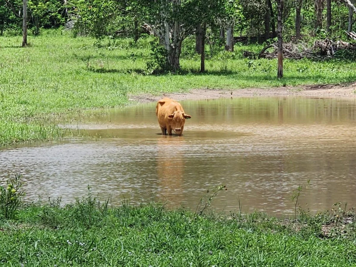 Additional image 13 of Lot 3 Kanigan Road, Kanigan QLD 4570