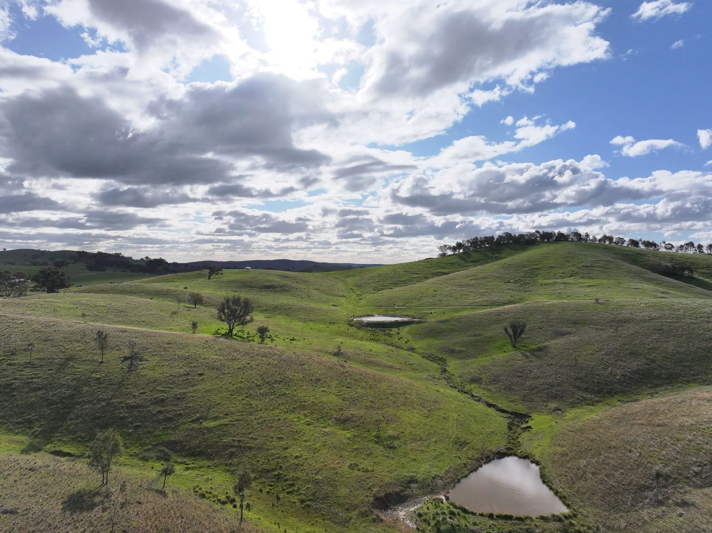 Additional image 9 of 'Rosewood' 850 Pulletop Road, Big Springs NSW 2650