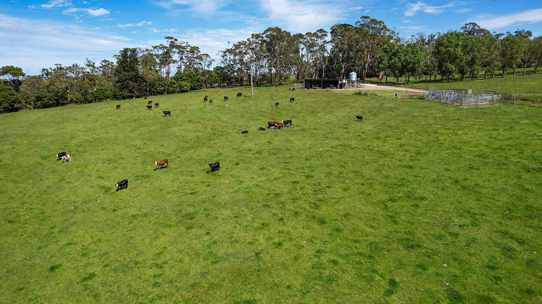 Additional image 46 of 335 Rollos Road, Panmure VIC 3265