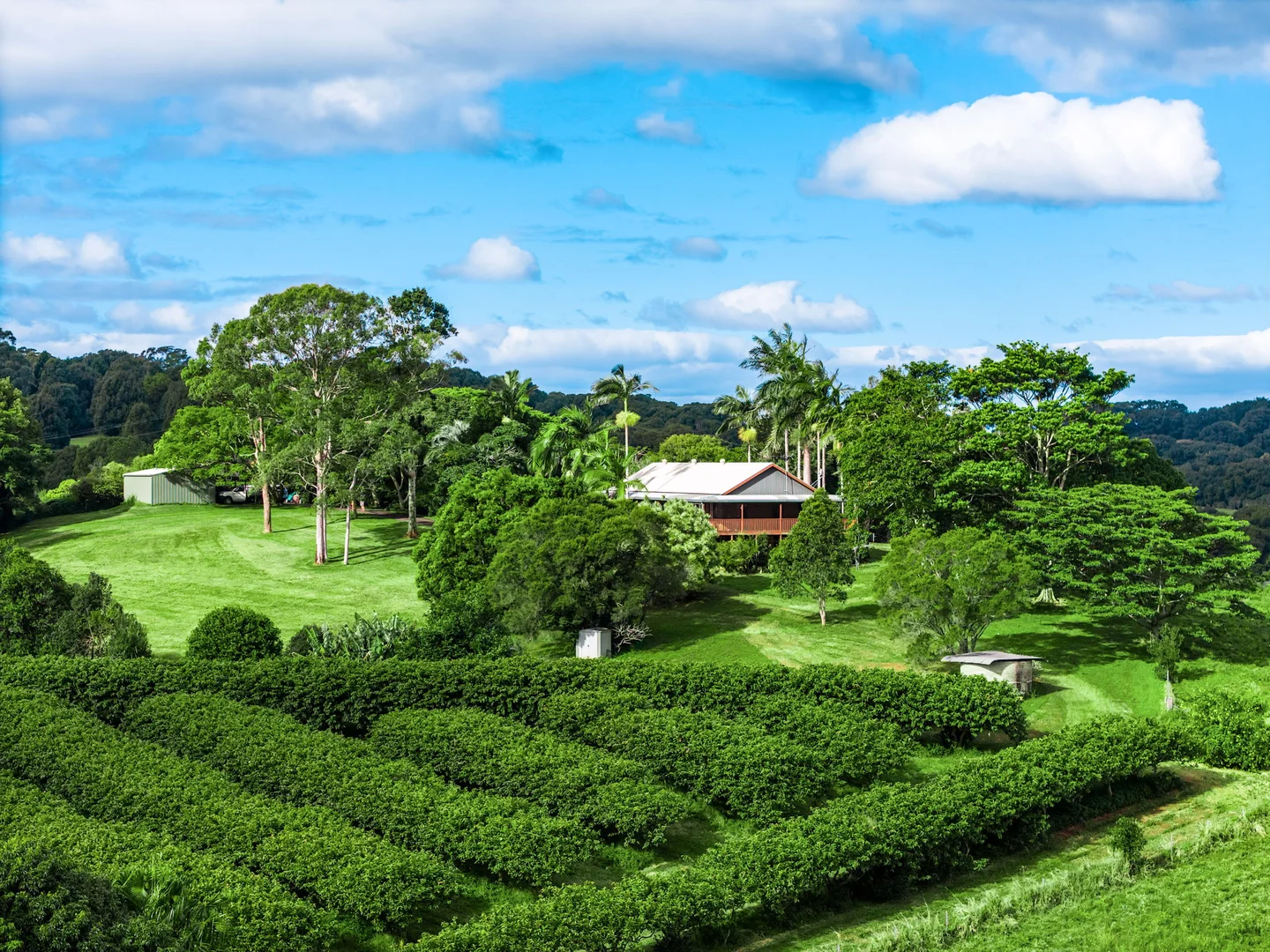 Additional image 37 of 617 Hinterland Way, Newrybar NSW 2479