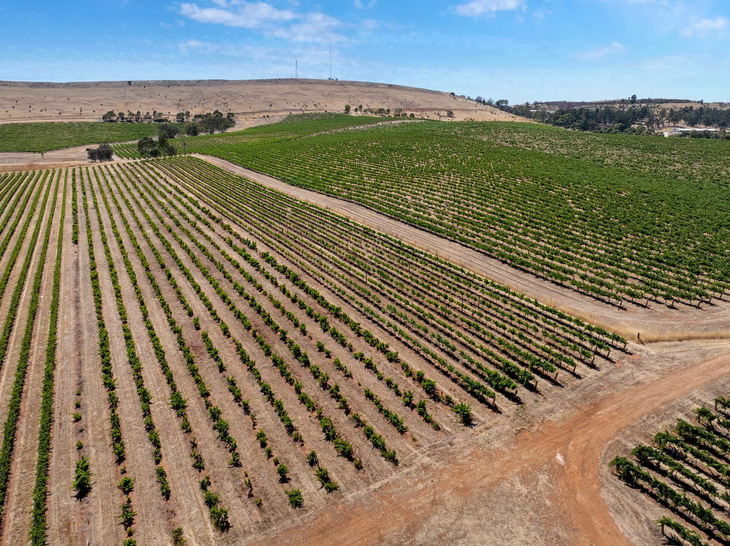 Additional image 24 of Lot 20 Spring Farm Road, Spring Farm SA 5453