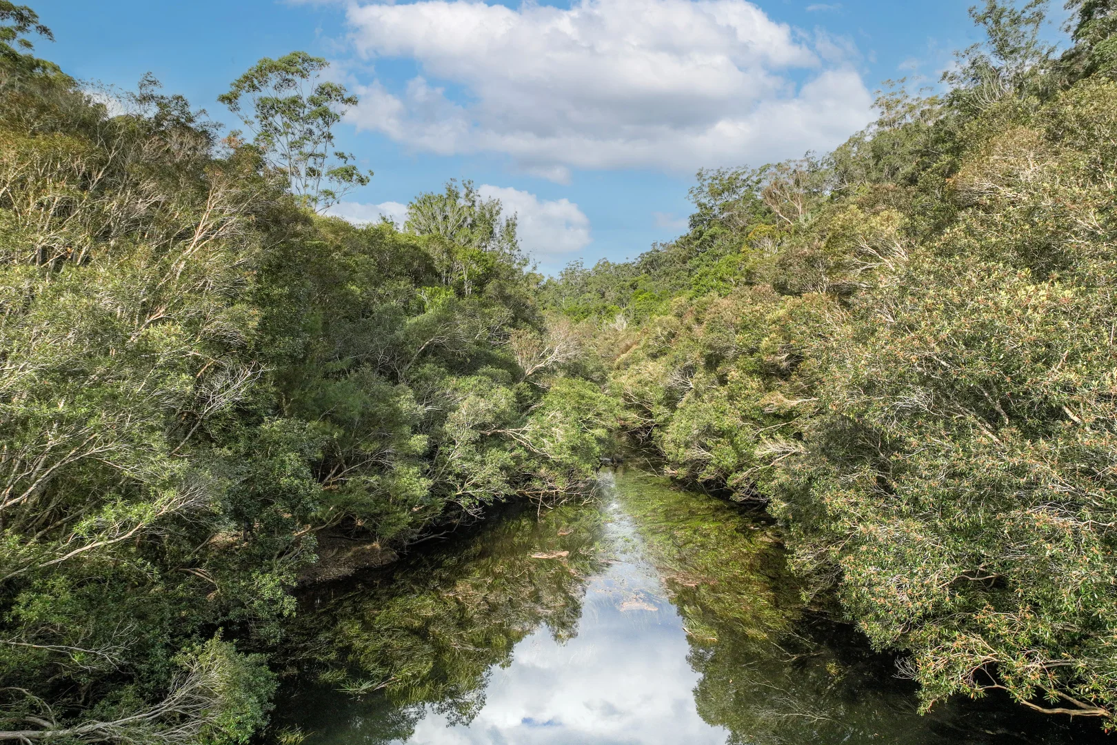 Additional image 30 of 56 Carisbrook Road, Morton NSW 2538