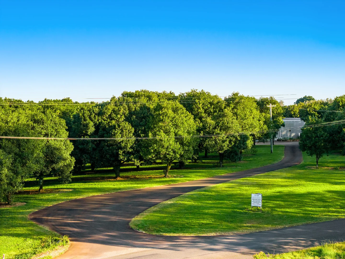 Additional image 19 of 145 Brooklet Road, Newrybar NSW 2479