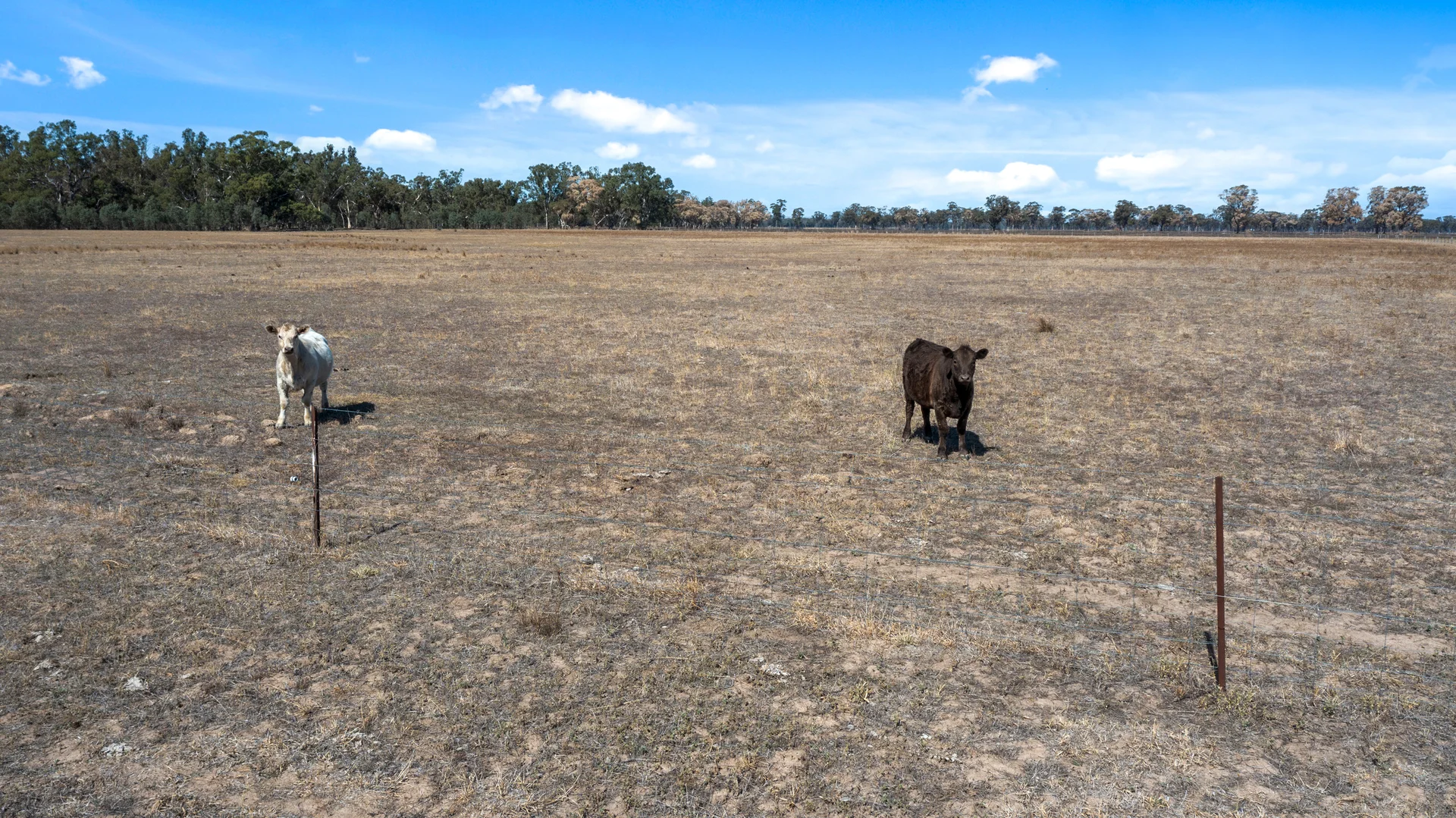 Additional image 11 of 1288 Murchison-Violet Town Road, Arcadia South VIC 3631