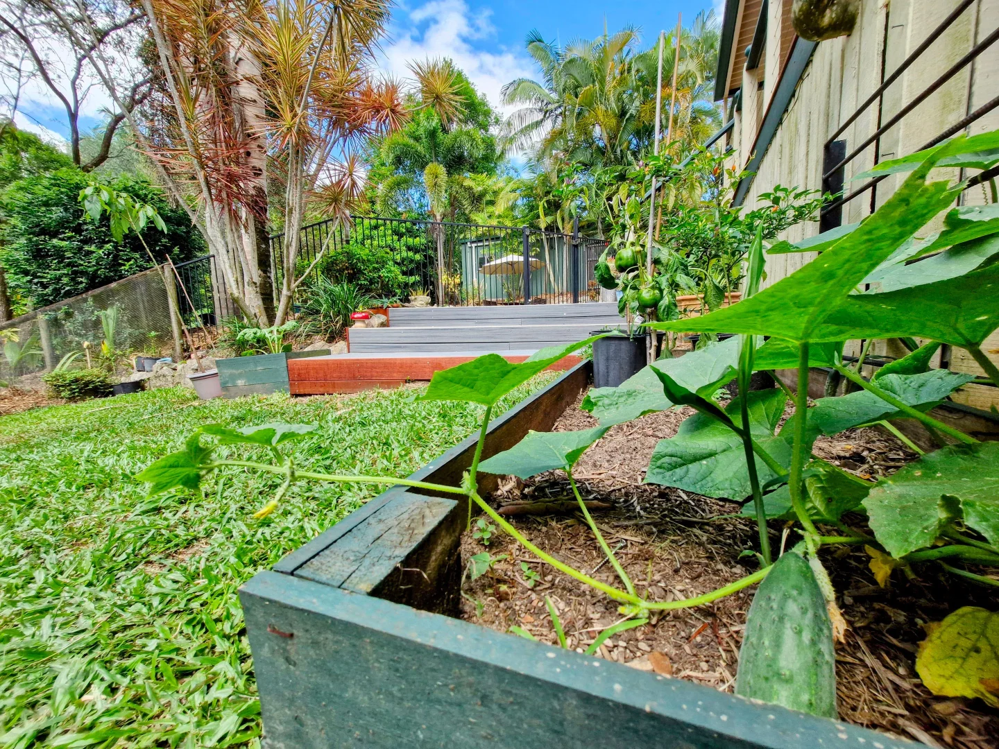 Additional image 5 of 279 DIDDILLIBAH ROAD, Diddillibah QLD 4559