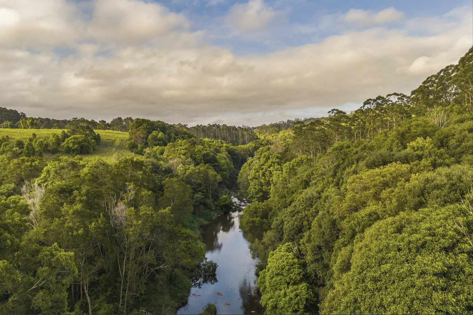 Additional image 2 of 315 Coorabell Road, Coorabell NSW 2479