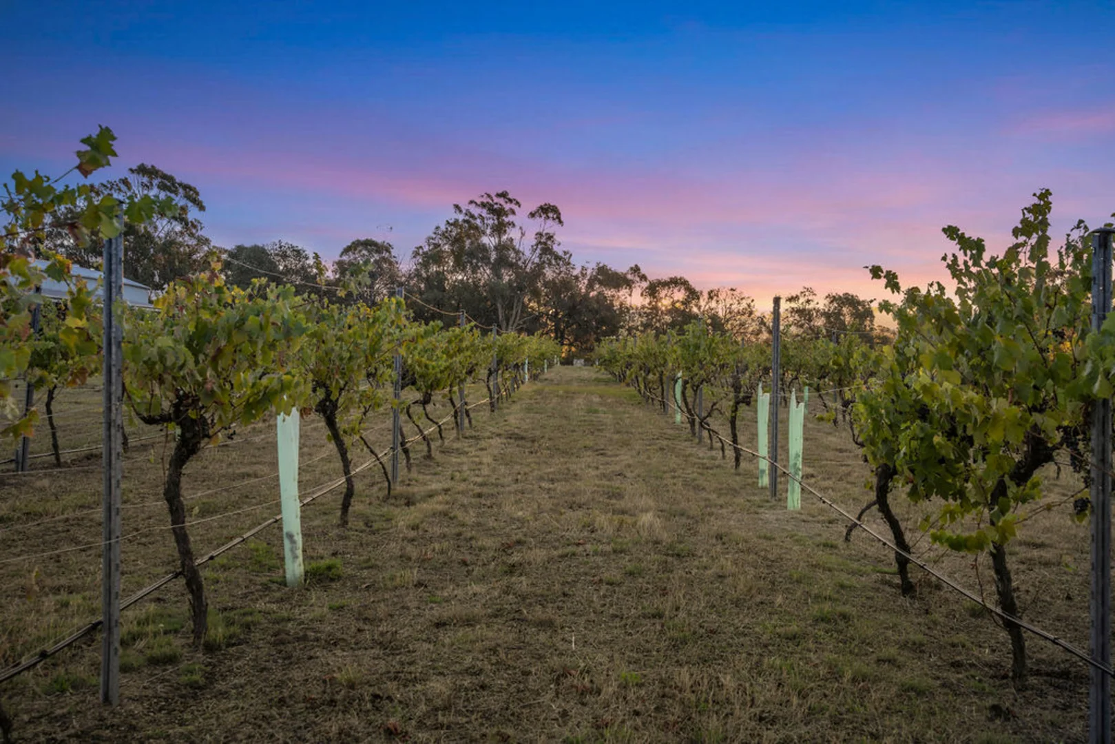 Additional image 5 of 122 Redpath Road, Avoca VIC 3467