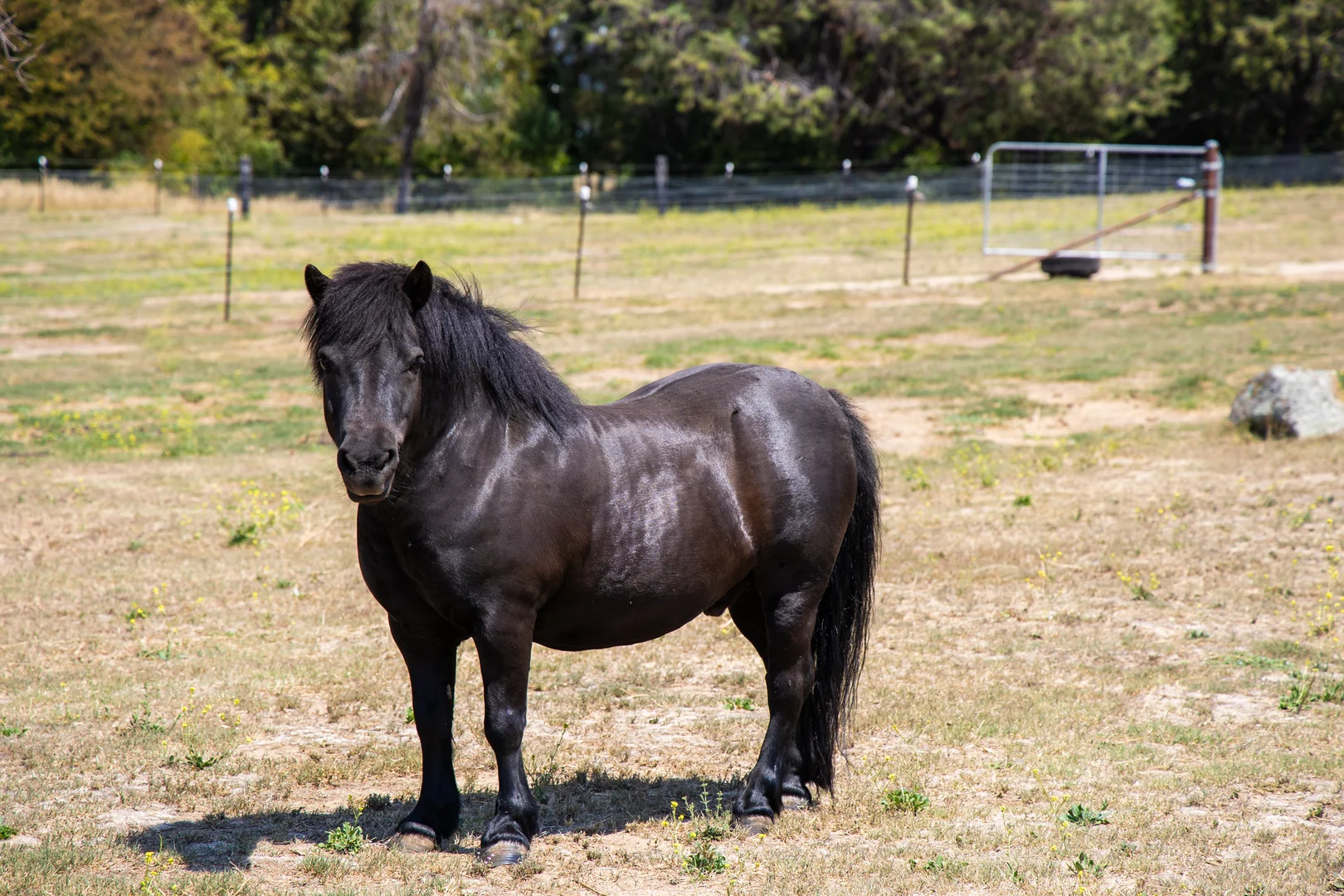 Additional image 23 of 3 Short Street, Berridale NSW 2628