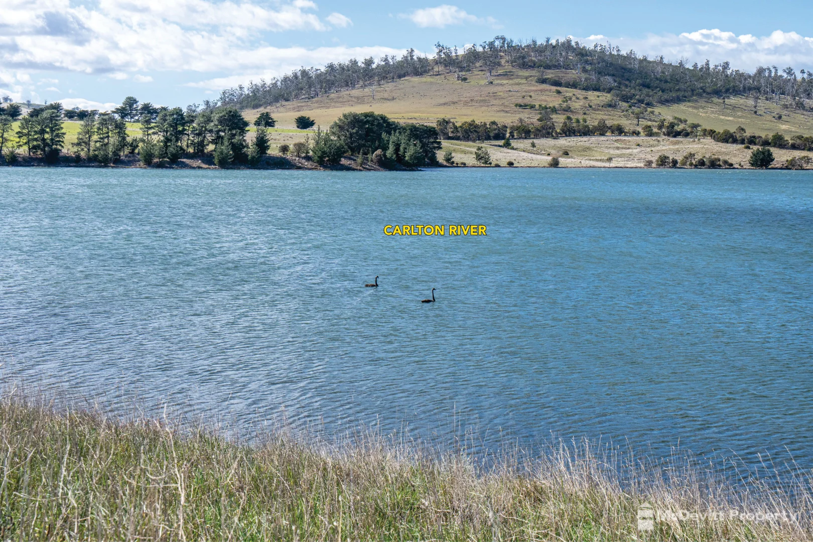 Additional image 11 of LOTS 3 & 4/560-600 Carlton River Rd, Carlton River TAS 7173