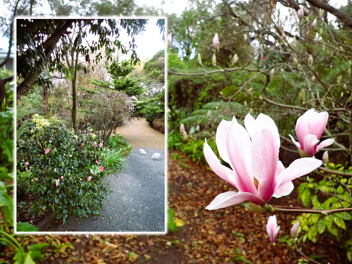 Additional image 24 of 15 & 16 LAGOON BEACH ROAD, Low Head TAS 7253