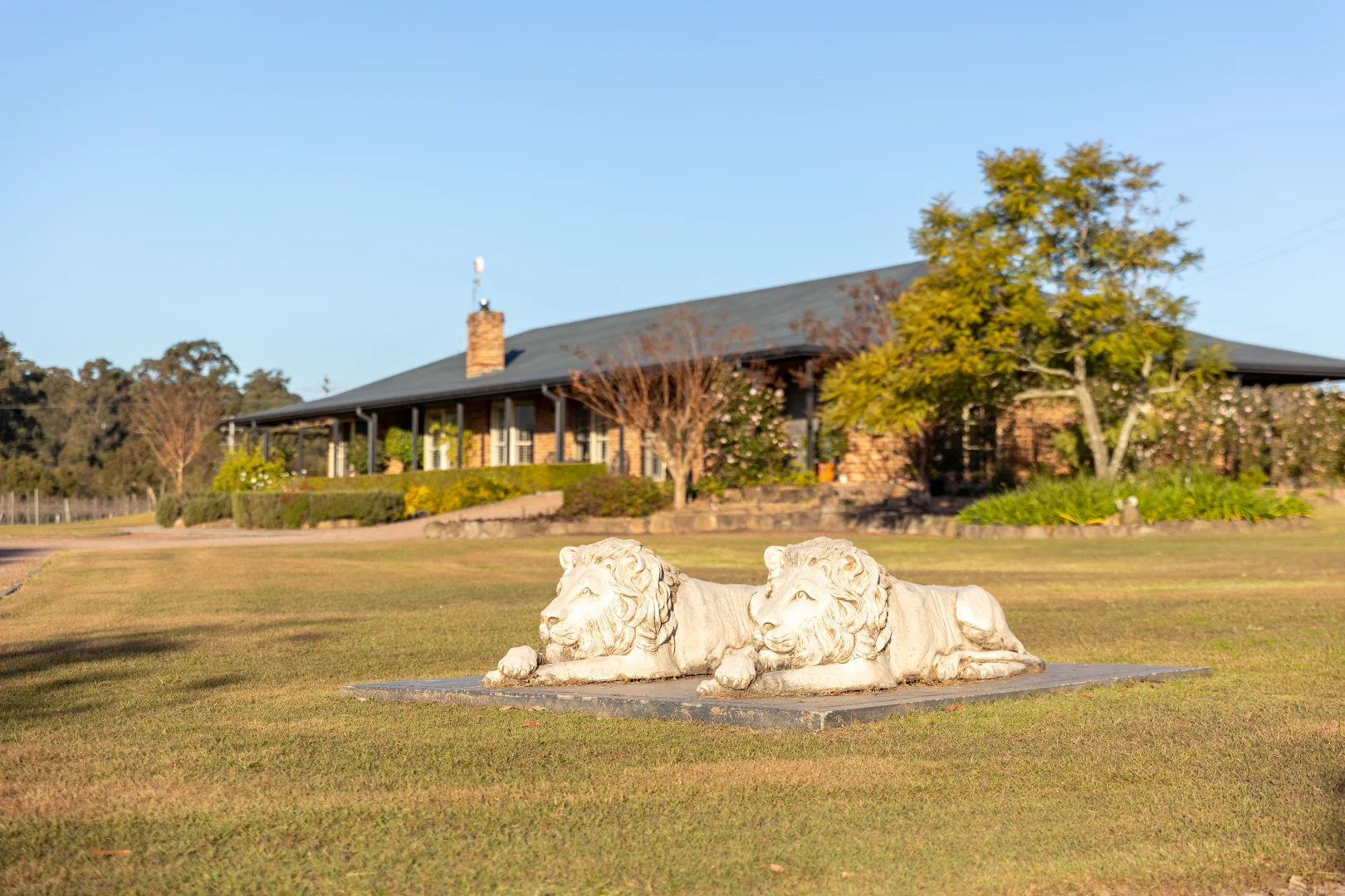 Additional image 6 of 168 Lomas Lane, Nulkaba NSW 2325