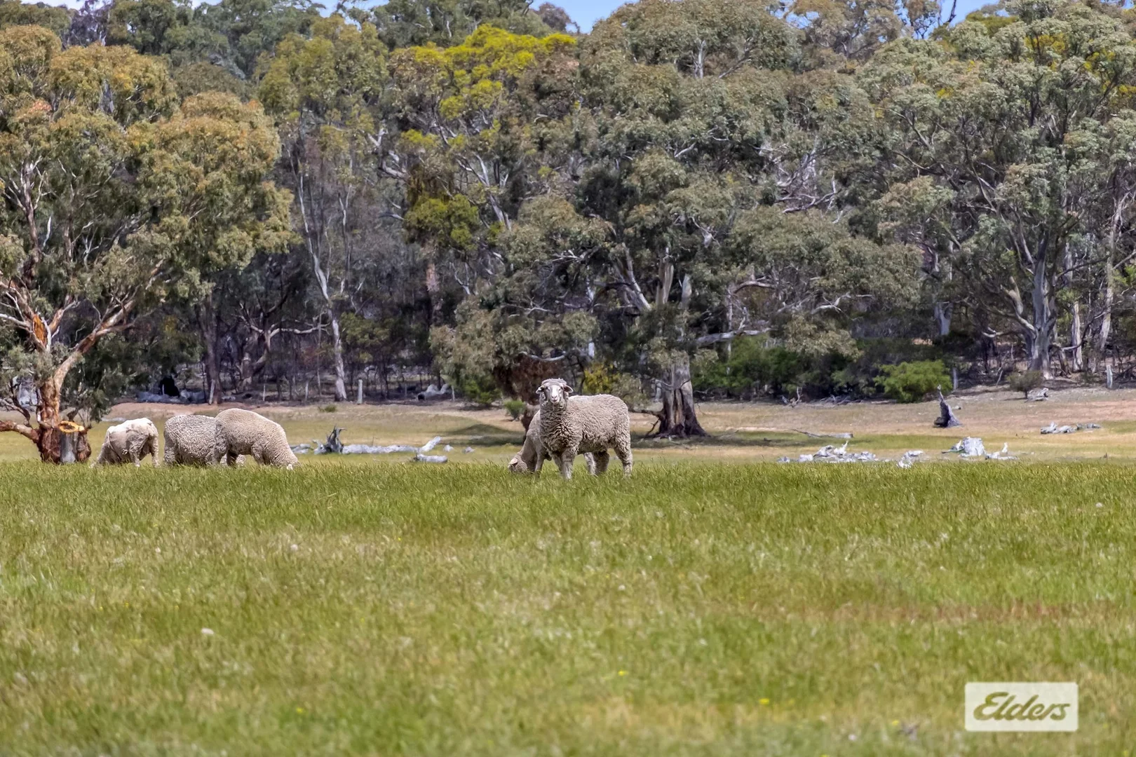 Additional image 11 of 55A & 55B Pentlands Creek Road, Rhymney VIC 3377