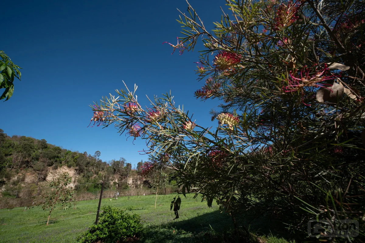 Additional image 35 of 41 Spinnach Creek Road, Fordsdale QLD 4343