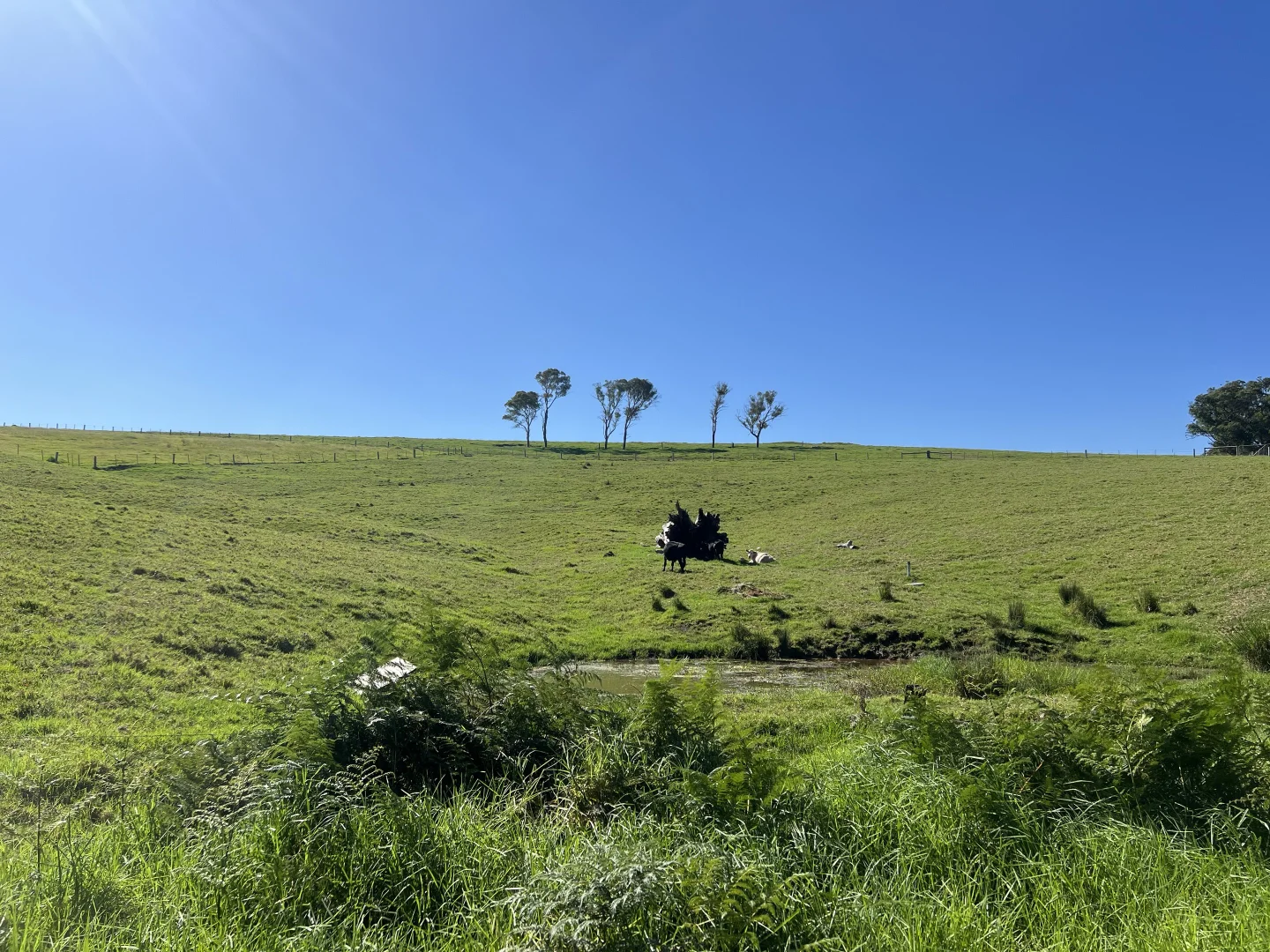 Additional image 6 of 471 Princes Highway, Orbost VIC 3888