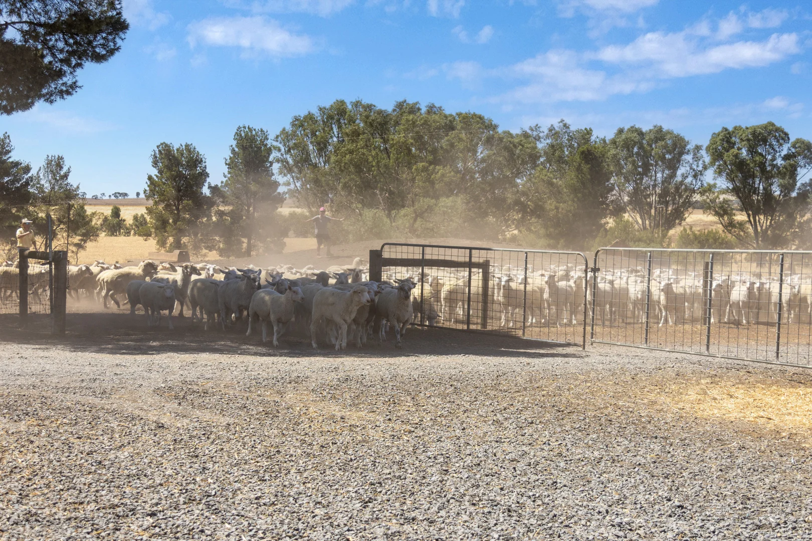 Additional image 14 of 'Merilden Feedlot' & 'Brads', Manoora SA 5414