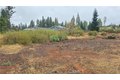 Additional image 6 of 6167 Ponderosa Way, Magalia, CA, 95954