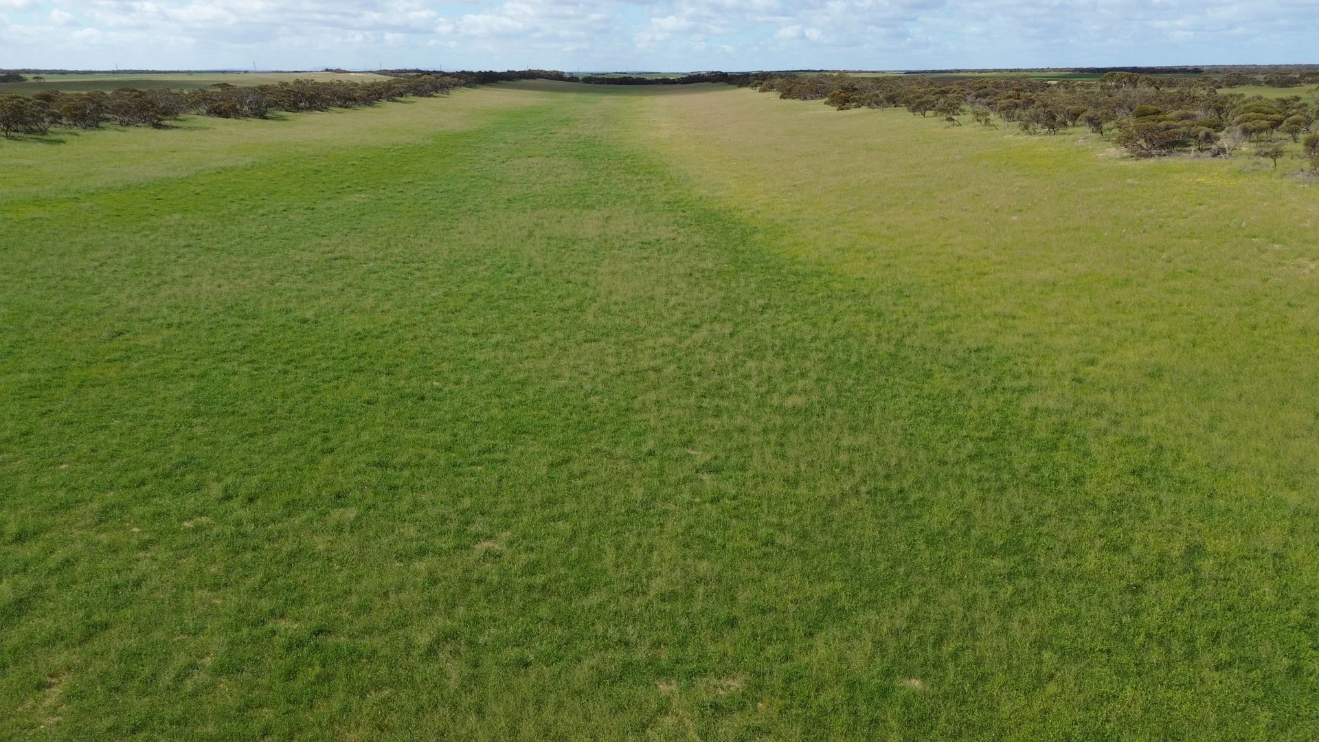 Additional image 5 of Lot 18 Tod Highway, Warramboo SA 5650
