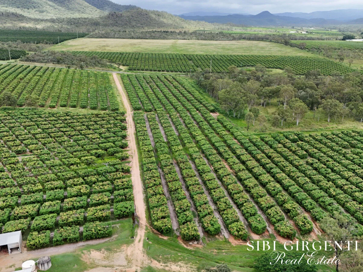 Additional image 36 of 227 Top Eureka, Dimbulah QLD 4872