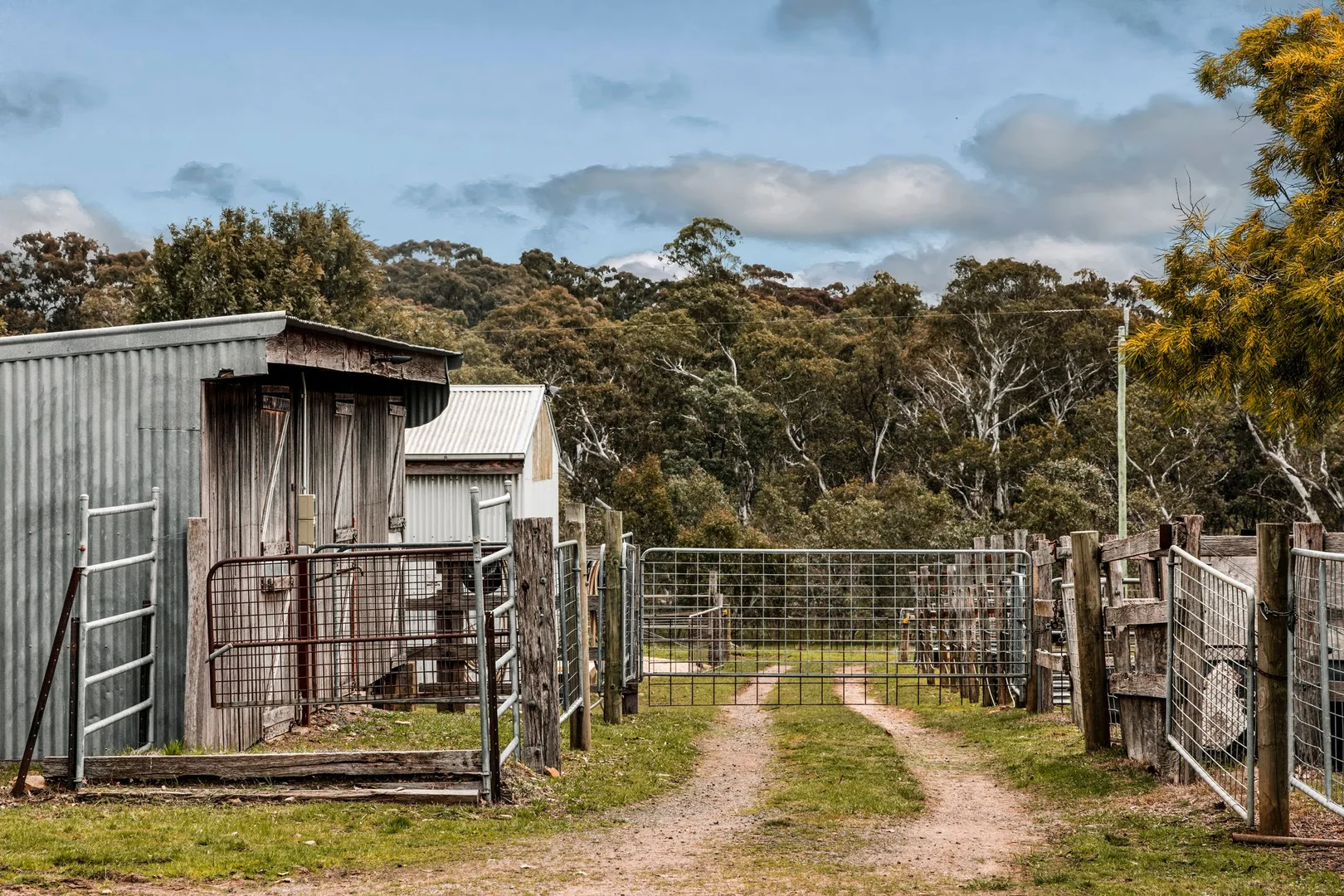 Additional image 10 of 870 Valley Road, Glenhope VIC 3444