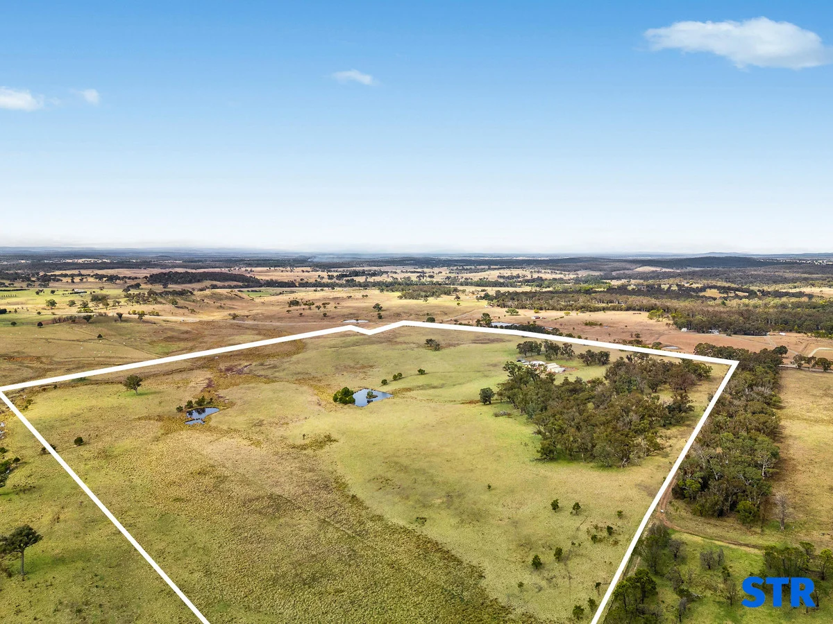 Additional image 18 of 1193 Bullamalita Road, Quialigo NSW 2580