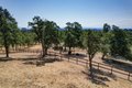 Additional image 9 of 21774 Oak Meadow Rd, Palo Cedro, CA, 96073