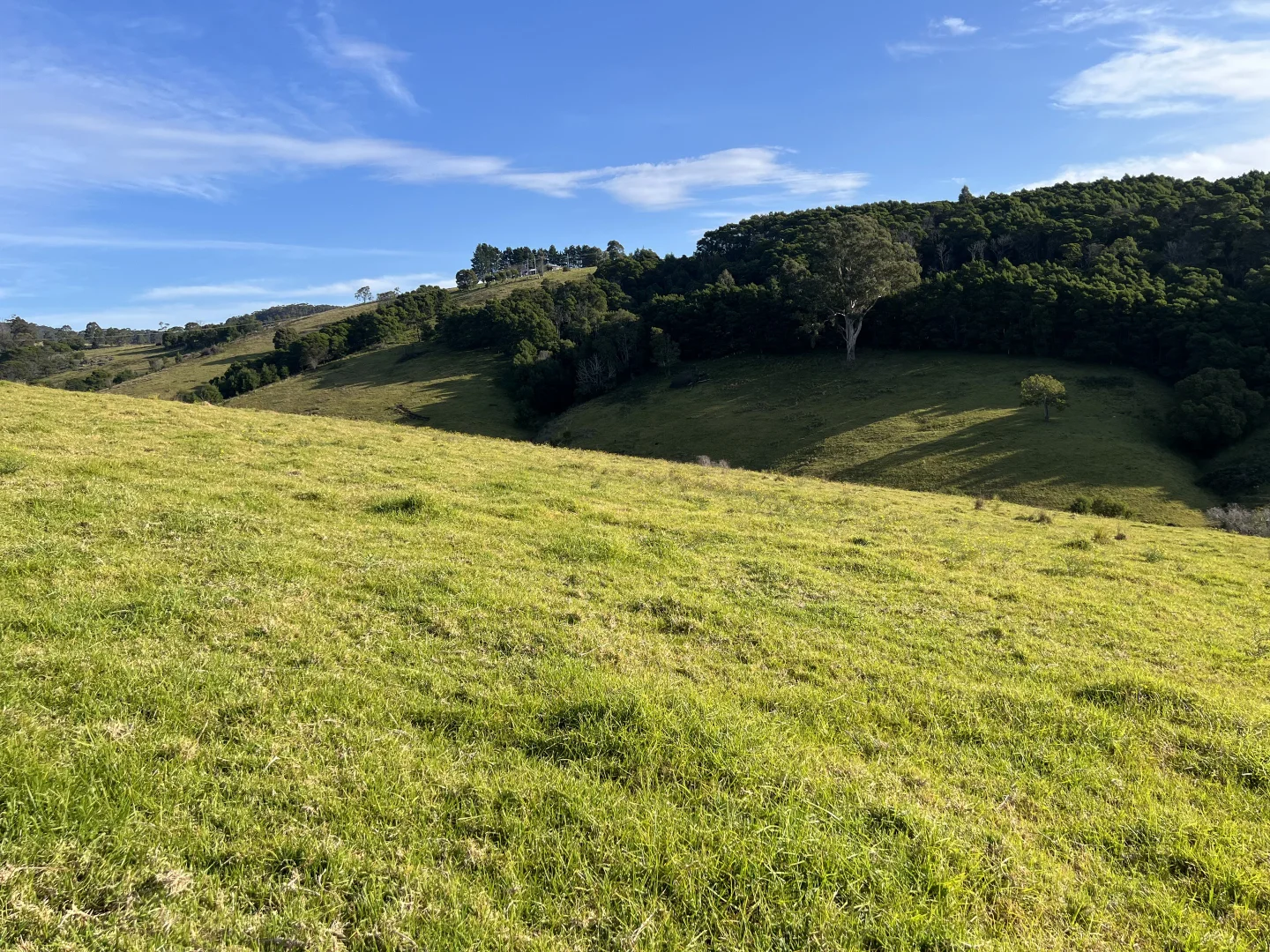 Additional image 6 of Lot 23 Fourter Road, Nethercote NSW 2549