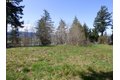 Additional image 10 of Riverview E 6441 Rd, Cathlamet, WA, 98612