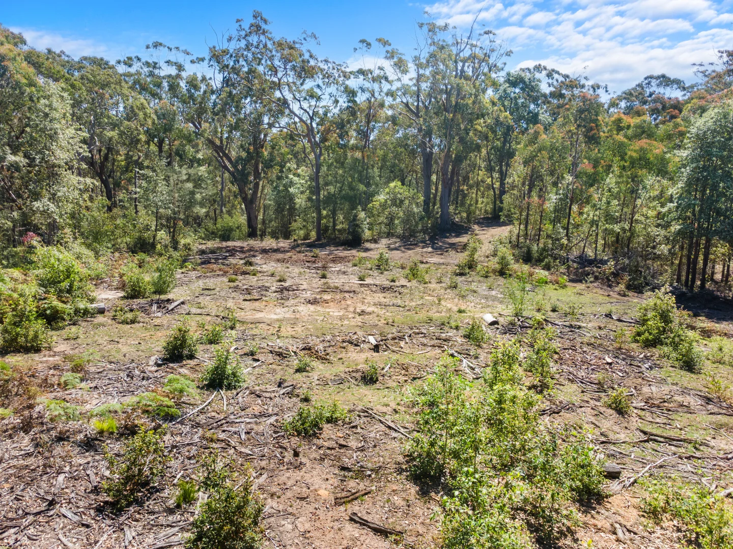Additional image 6 of 1058 Bakers Road, Putty NSW 2330