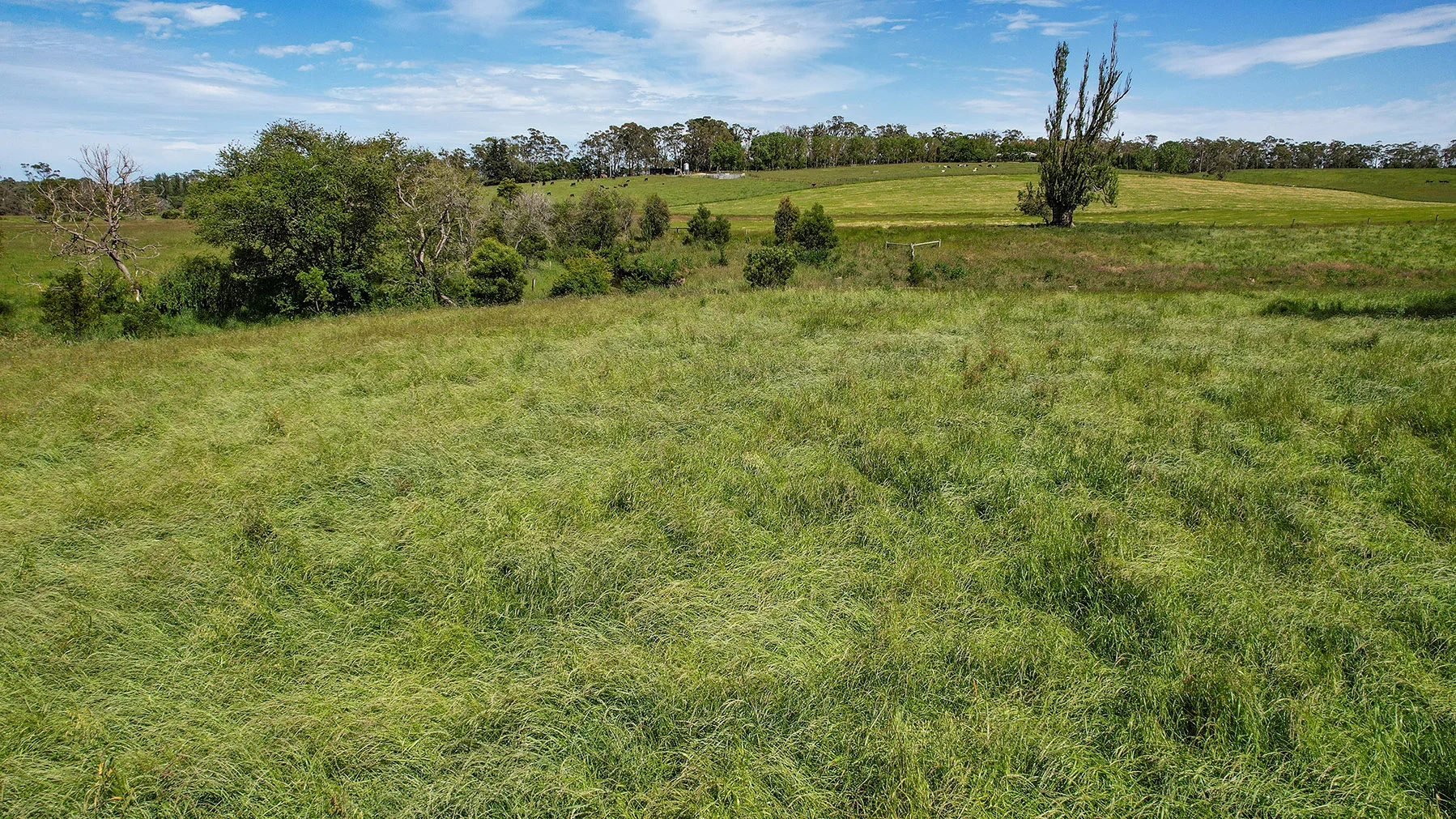 Additional image 32 of 335 Rollos Road, Panmure VIC 3265