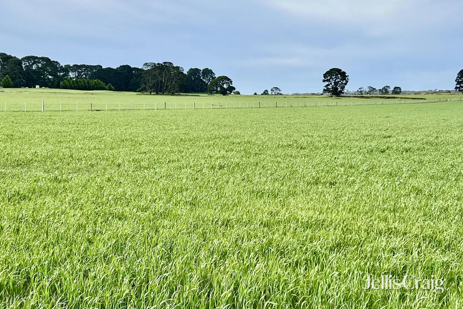 Additional image 6 of Lots 1-4 Rollinsons Road, Greenhill VIC 3444