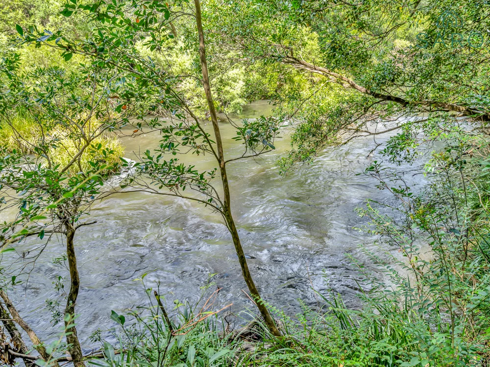 Additional image 11 of 3476 Orara Way, Kremnos NSW 2460