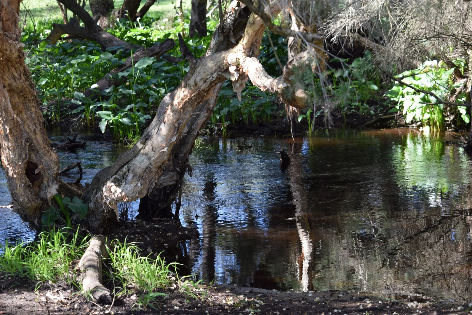 Additional image 10 of 62 Cheriton Road, Gingin WA 6503