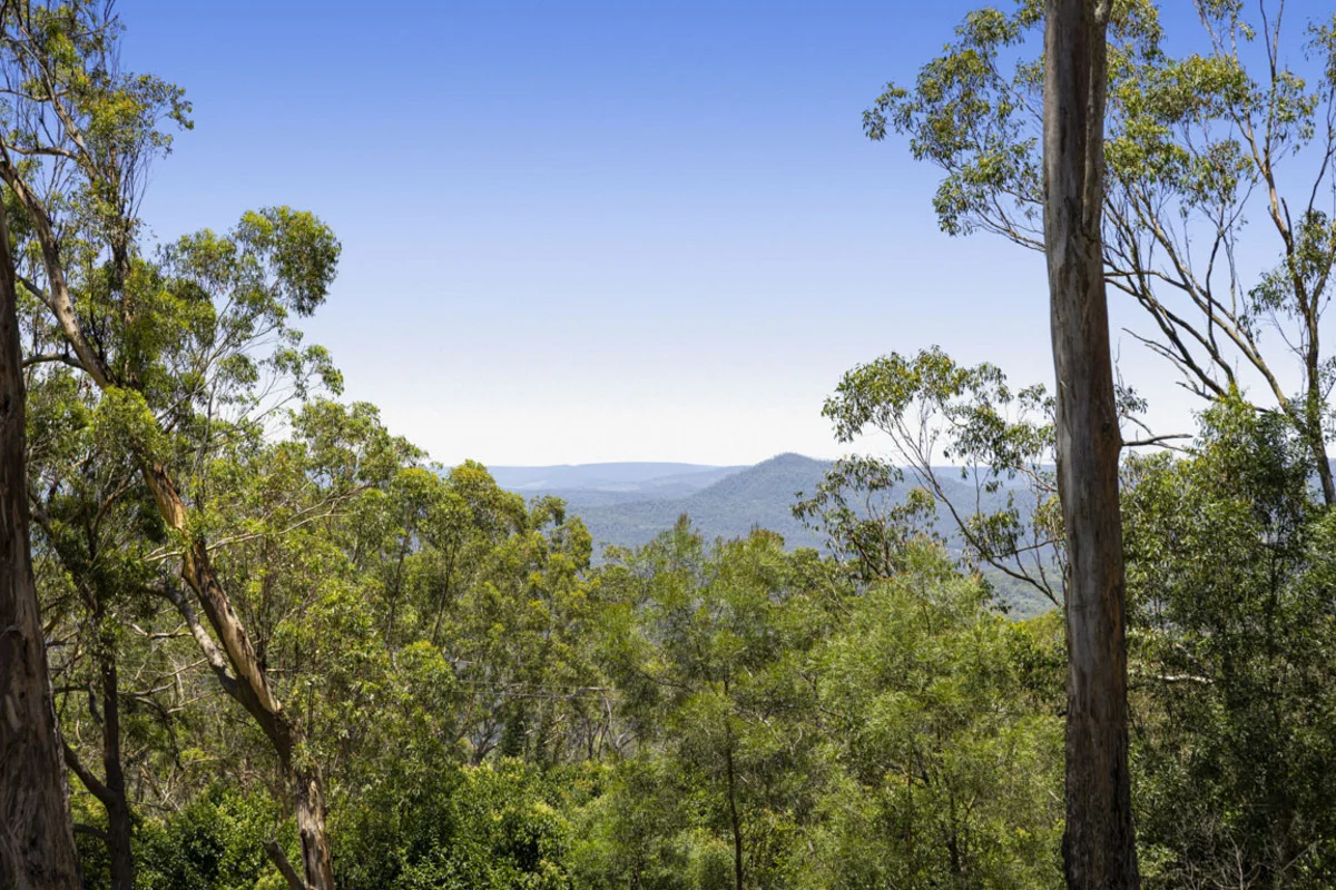 Additional image 20 of 39 Stenner Street, Rangeville QLD 4350