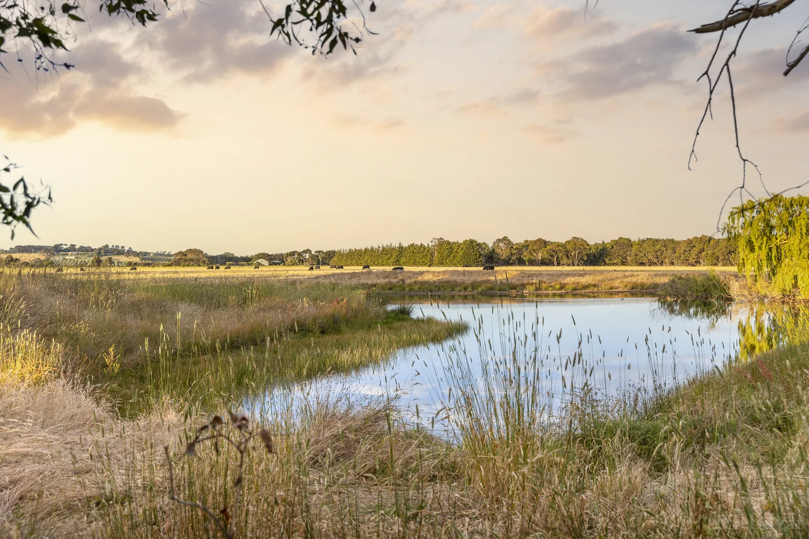 Additional image 22 of 1030 Surf Coast Highway, Mount Duneed VIC 3217