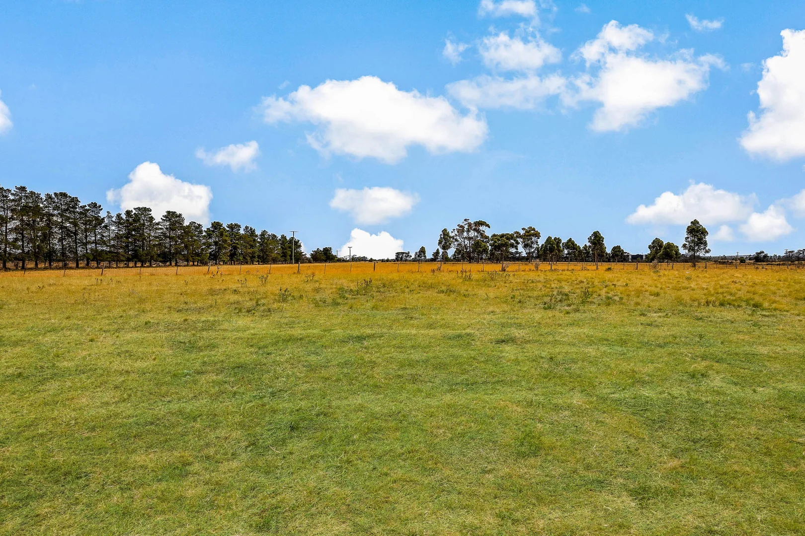 Additional image 27 of 315 Loemans Road, Bulla VIC 3428