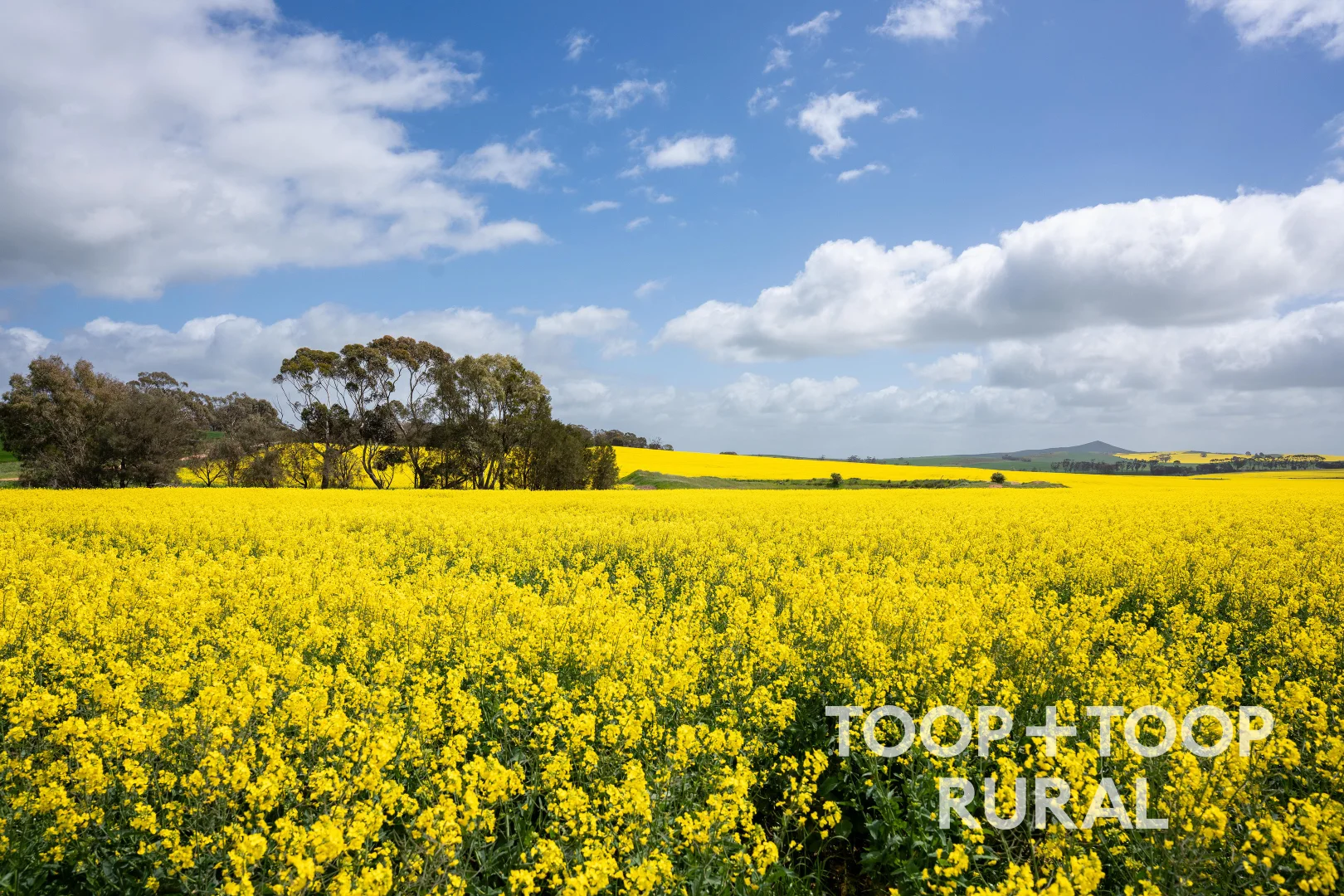 Additional image 9 of Hardings Road, Black Springs SA 5413