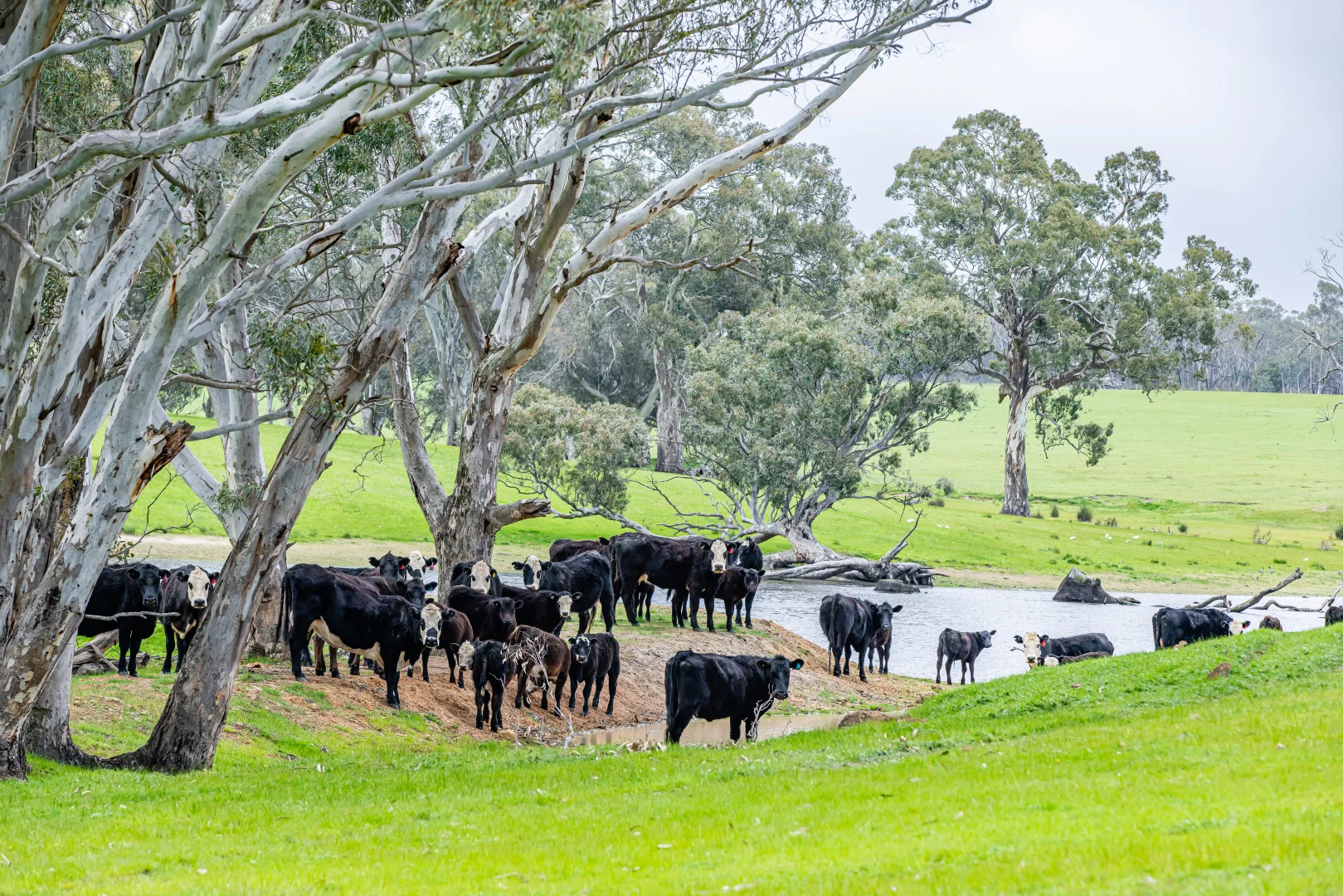 Additional image 9 of 3155 Casterton-Edenhope Road, Chetwynd VIC 3312