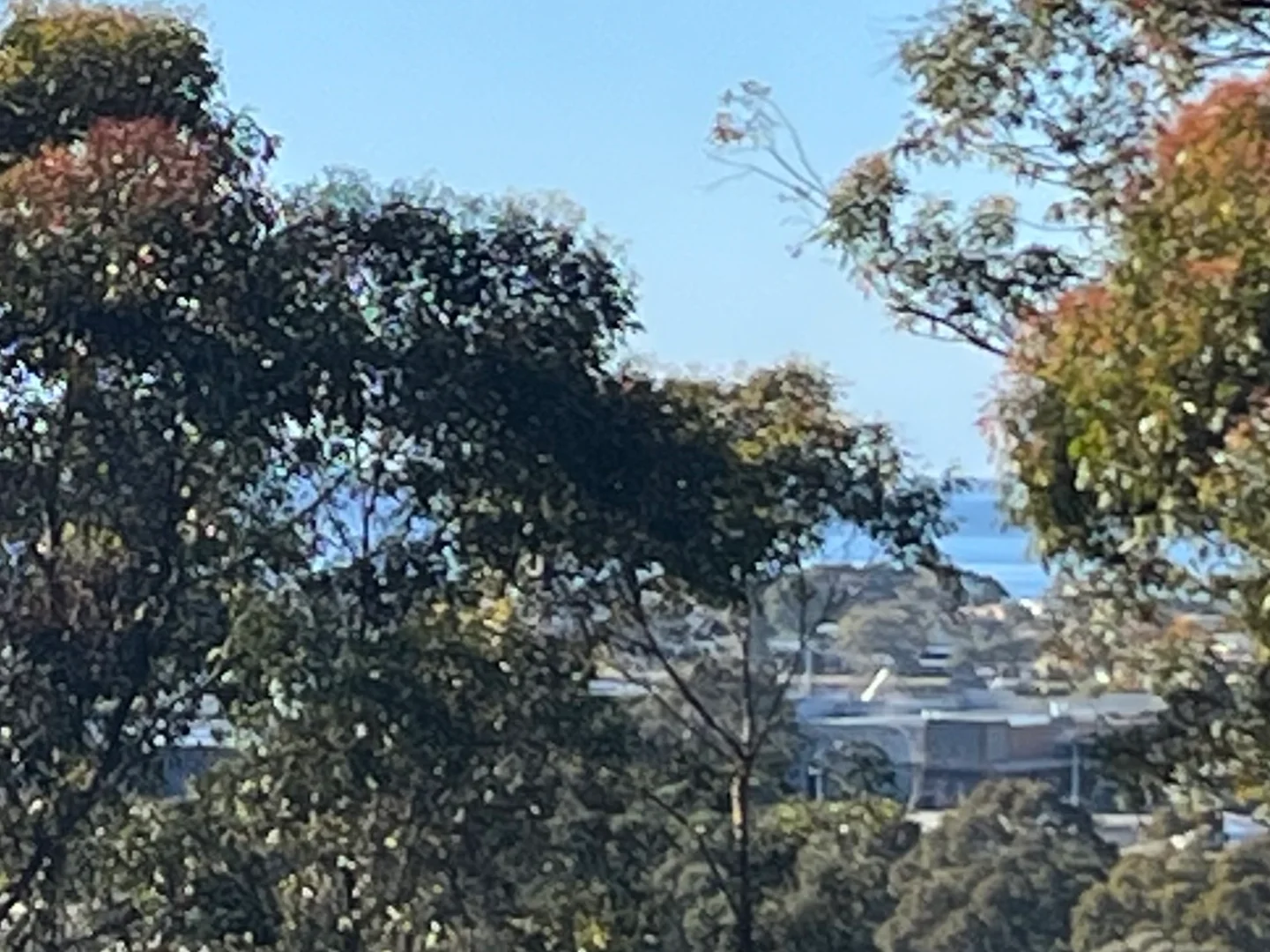 Additional image 21 of 82 Old Tathra Road, Berrambool NSW 2548