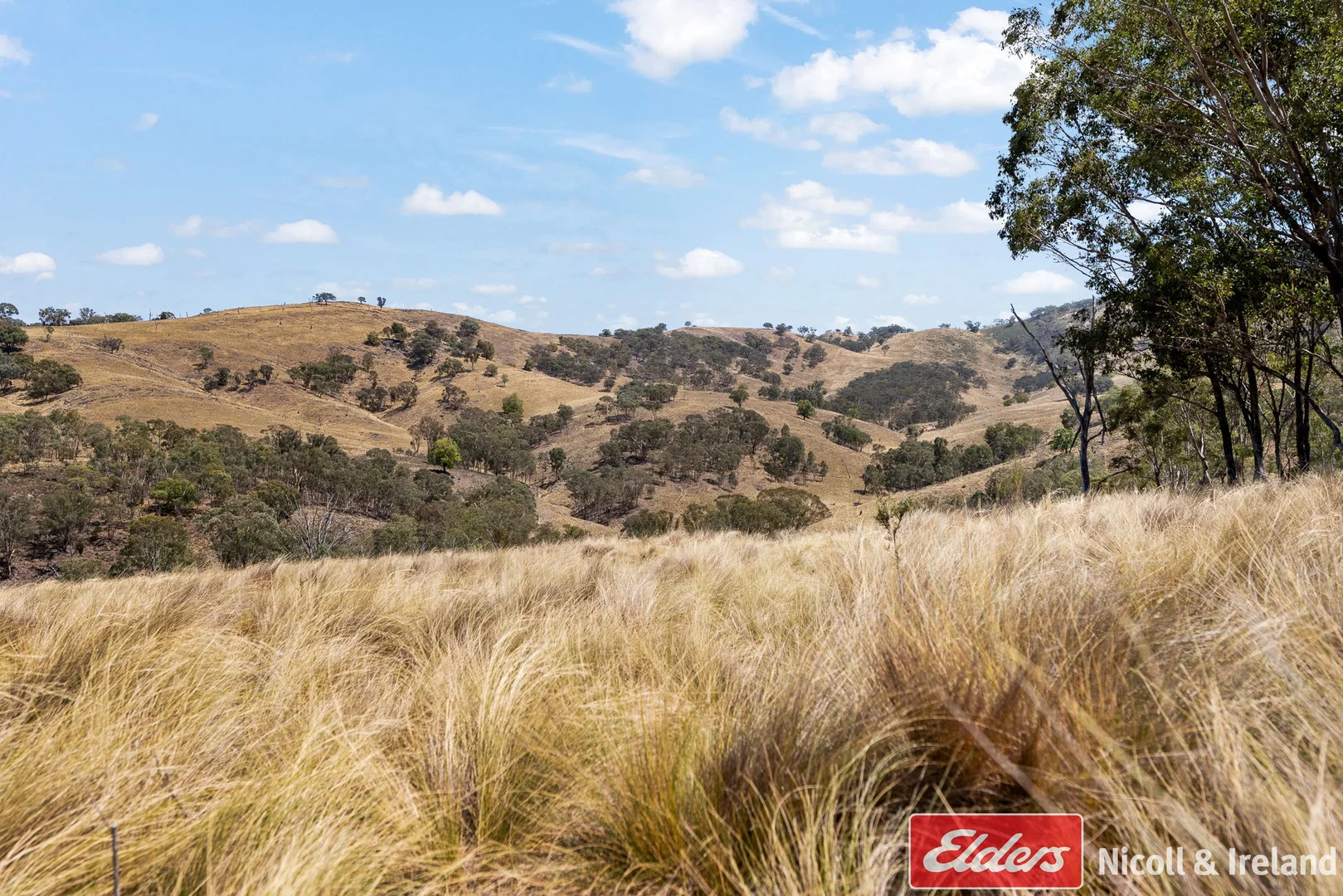 Additional image 23 of 3548 The Bridle Track, Bruinbun NSW 2795