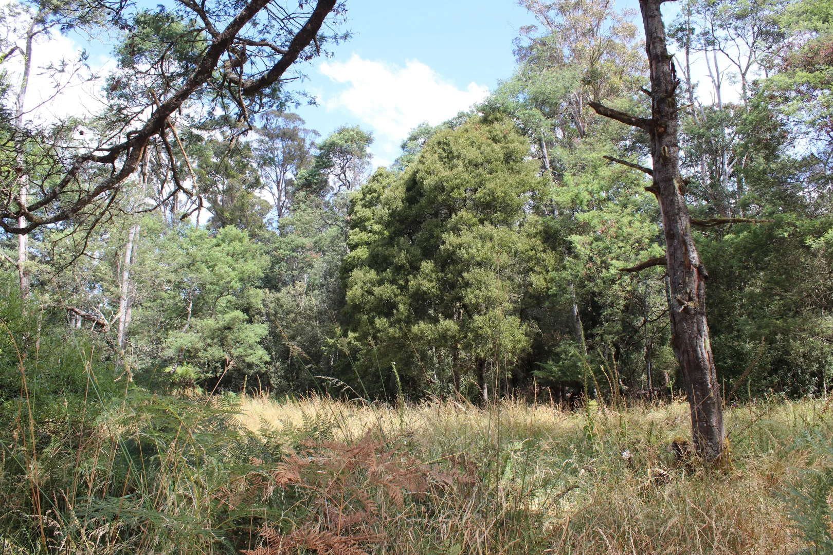 Additional image 6 of 188 Bassett's Road, Calder TAS 7325