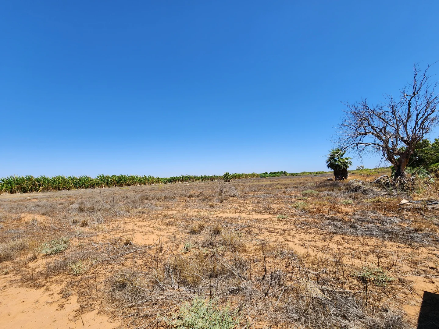 Additional image 19 of 178 South River Road, Carnarvon WA 6701