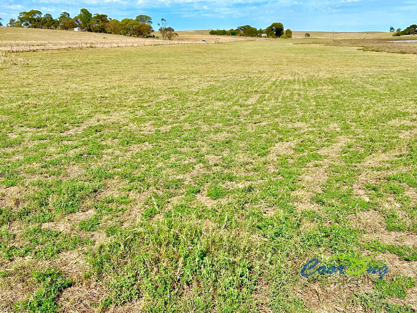 Additional image 12 of 1 Princes Highway, Ashville SA 5259