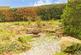Additional image 32 of Laigh House, Church Lane, Wigtown, Newton Stewart, DG8