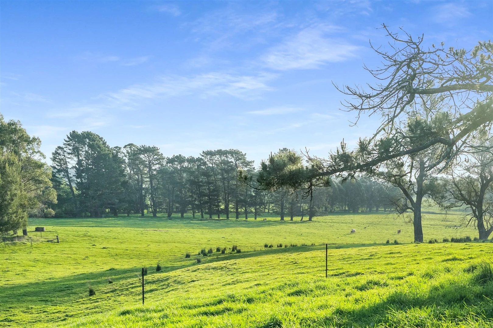 Additional image 19 of 790 Kangaloon Road, Glenquarry NSW 2576