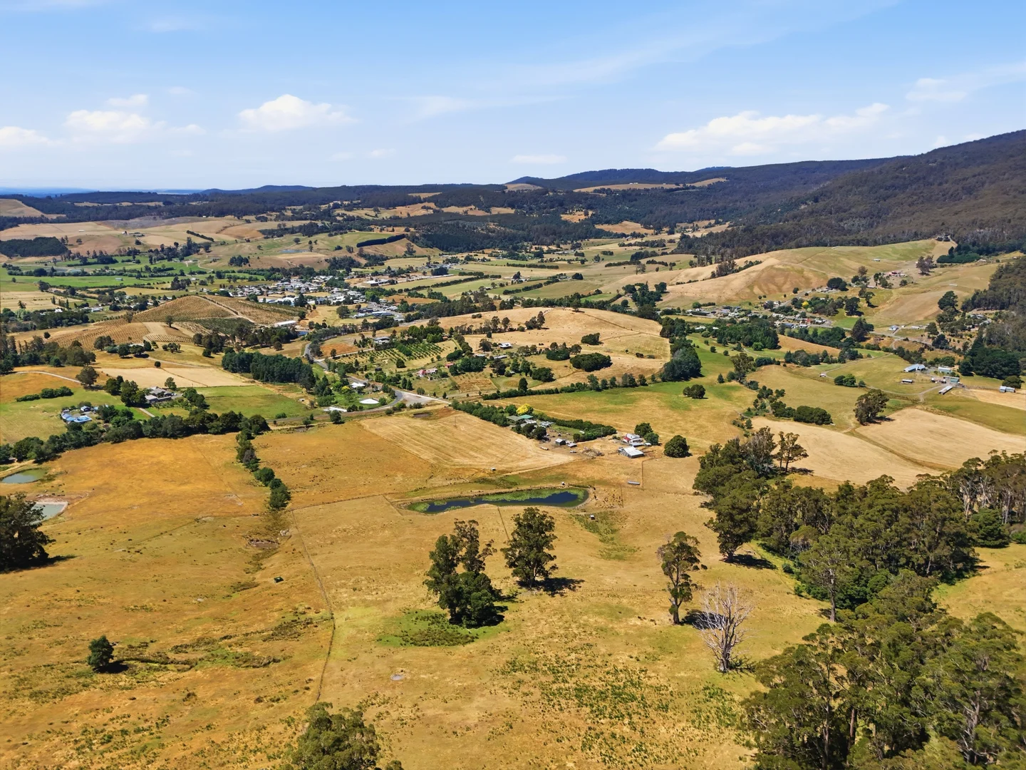 Additional image 17 of Lot 2/107 Lalla Road, Lilydale TAS 7268