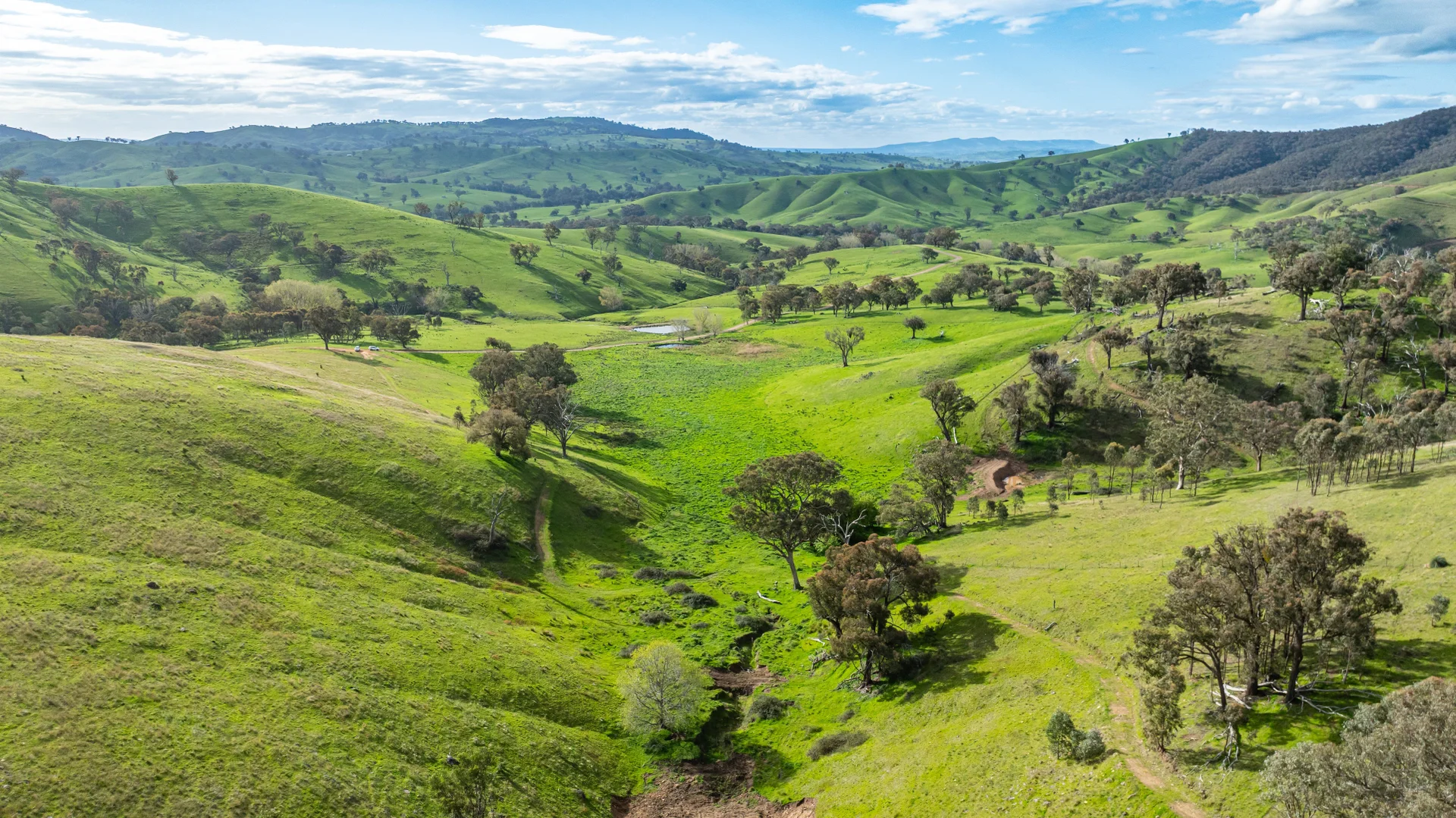 Additional image 7 of . Packers Road, Bethanga VIC 3691